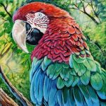 Gallery 7 - Eric Sapronetti