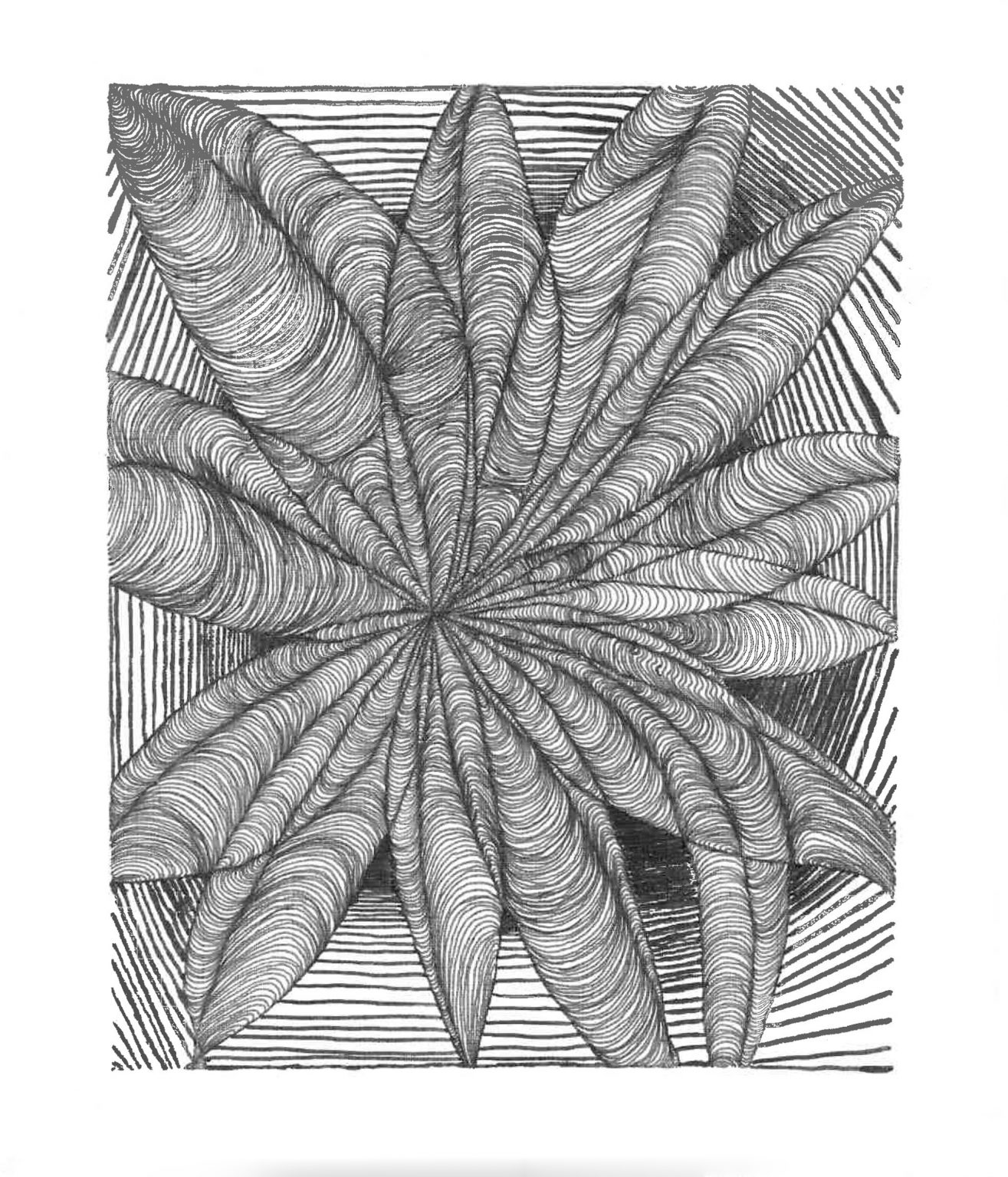 Gallery 2 - Rachel Dixon