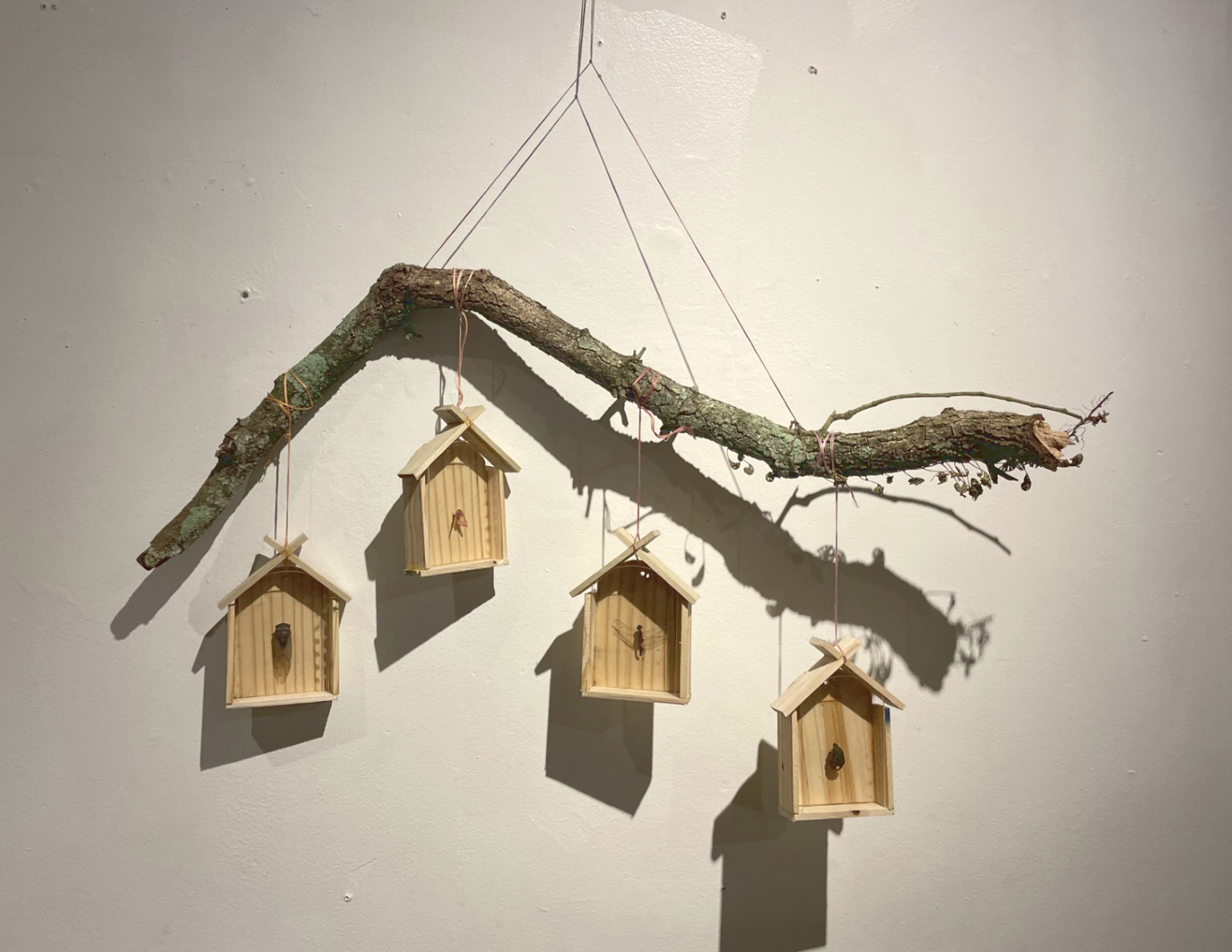Gallery 13 - Audrey Lendvay