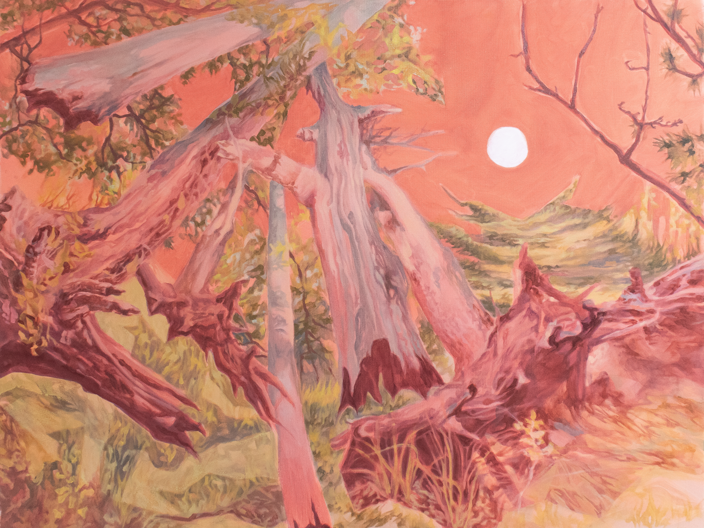 Gallery 3 - Audrey Lendvay