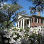 Nature Journaling at The Grove Museum